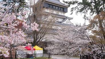 観光スポット / 18