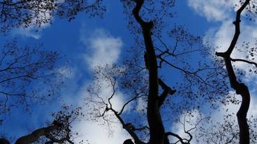 施設からの眺望 / 5