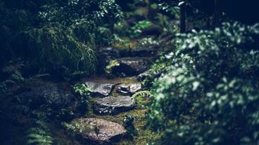 ガーデン ビュー / 7