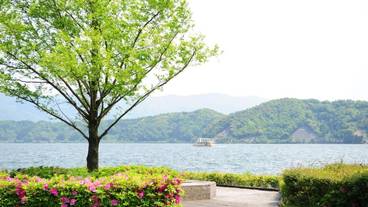 施設の敷地 / 15