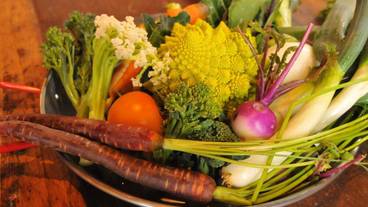 食事・飲み物 / 1