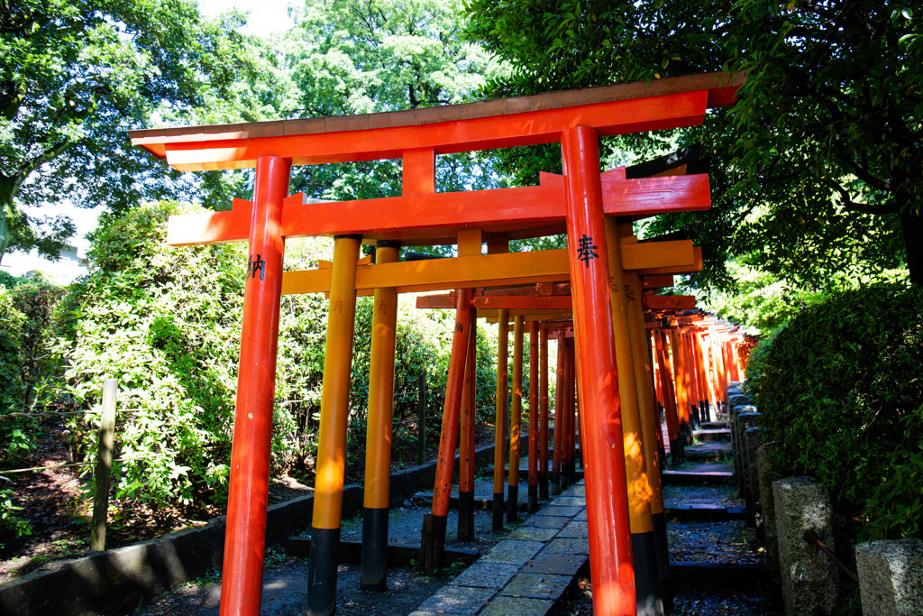 10.つつじや縁結びなどご利益いっぱいの「根津神社」3142076
