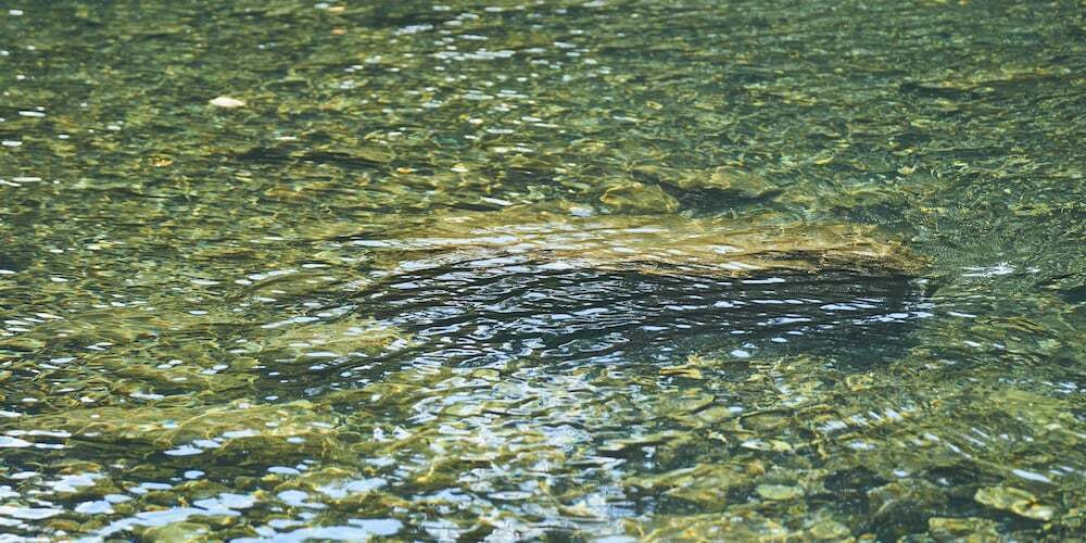 施設からの眺望