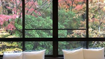 マウンテン ビュー / 8