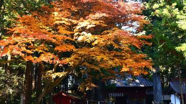 施設からの眺望 / 16