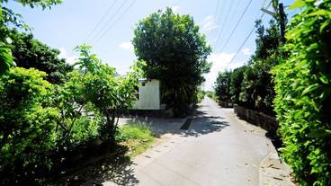 施設からの眺望 / 17