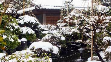 日本庭園 / 22