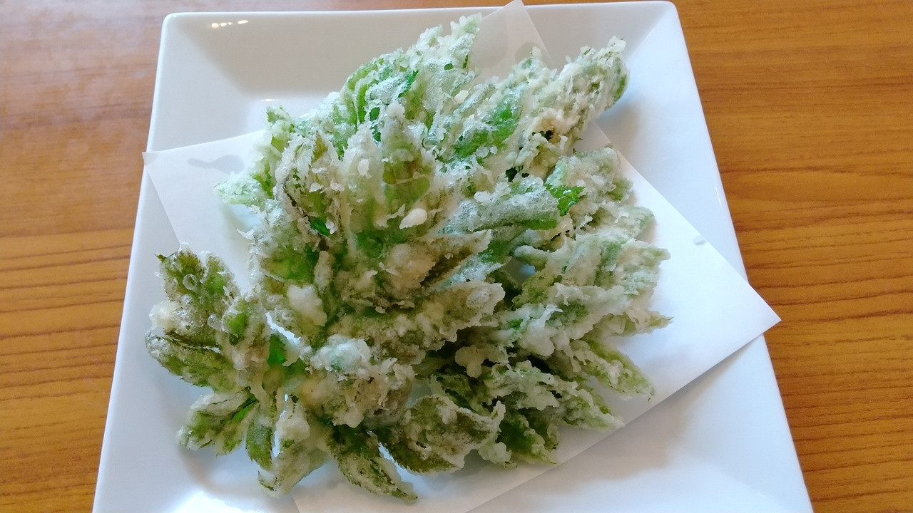 10.遊びのサポートが万全で初心者も安心♪「ホテル海楽」4255619