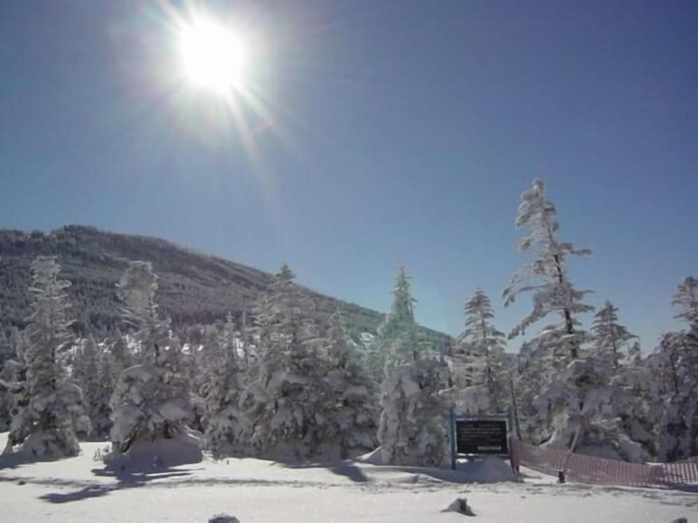 スノー スポーツとスキー