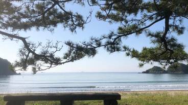 施設の敷地 / 15