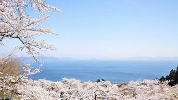 ジップライン / 4