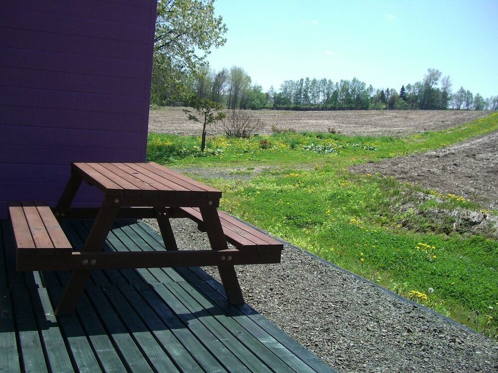 テラス / パティオ