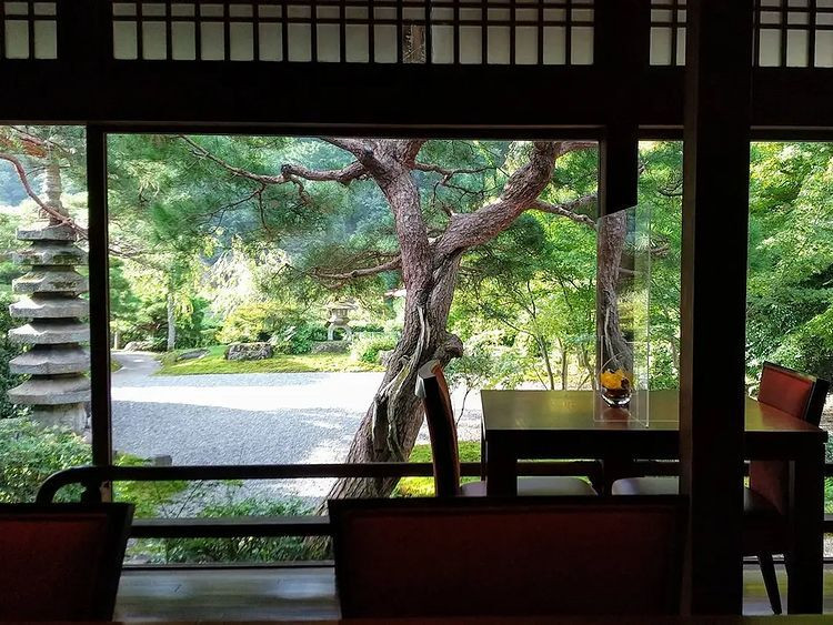 hanezuiro1206さんの写真 / 2