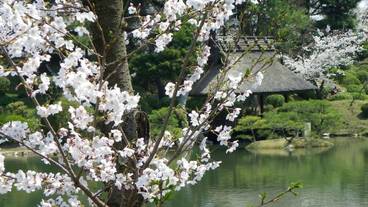 観光スポット / 10