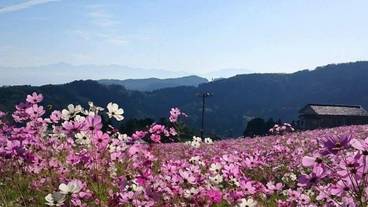 施設からの眺望 / 18