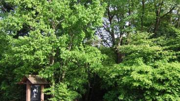 施設の敷地 / 30