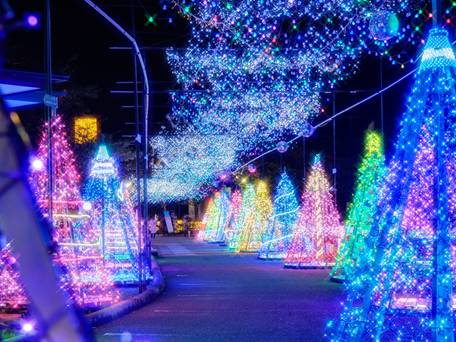 御殿場高原 時之栖 / 2