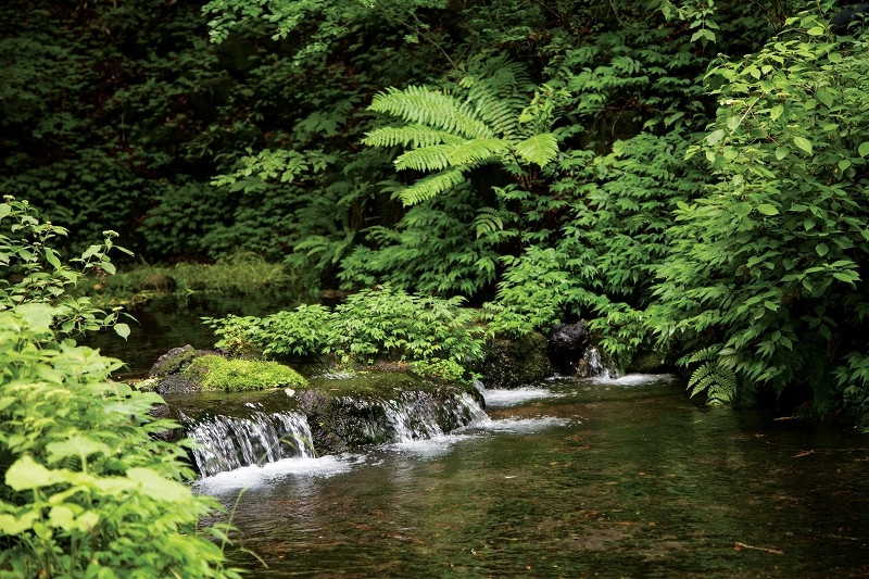 昼と夜で違った顔を見せるラウンジで自然に触れる4263306