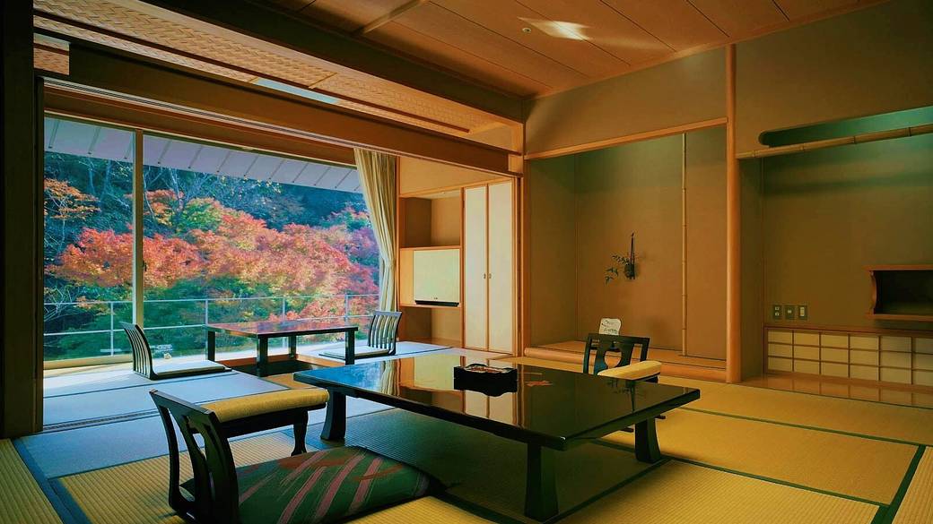 緑に包まれる空間
客室から望む自然林 / 1