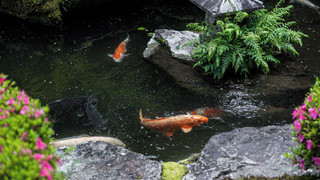 落合の間 (京間8畳+4畳)