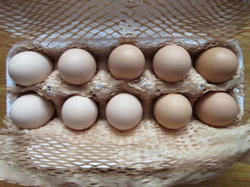 「とんとんのお店」 料理 75800345 Sサイズ卵