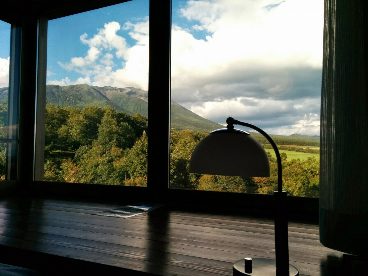 5. ゆこたんの森4082813