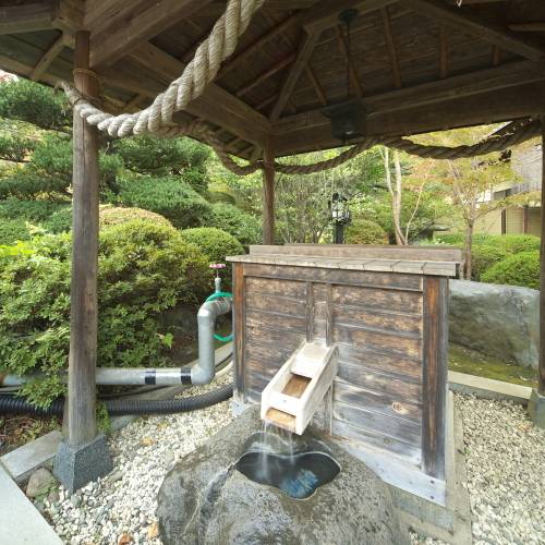 甲斐金脈と連なる、敷地内の源泉 / 4