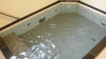 ハマム (トルコ式スチームバス) / 2