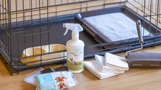 (2棟限定 専用露天風呂) 離れ ペット可 禁煙