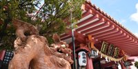 フライト前に立ち寄りたい！那覇空港周辺のおすすめスポット7選