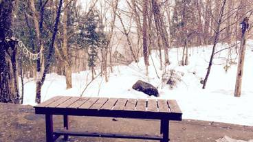 施設の入り口 / 8