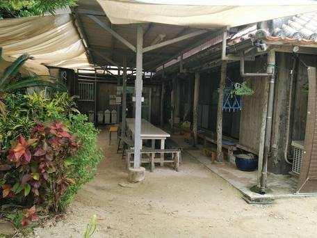 民宿 小浜荘（竹富島） / 3