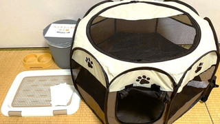 スーペリアファミリー ペット受け入れOK 禁煙