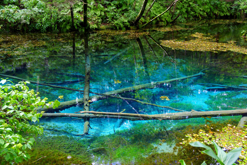 北海道の大自然を感じるなら「道東」へ3695794