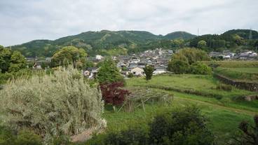 マウンテン ビュー / 19