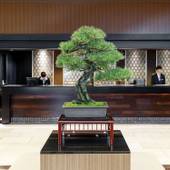 パレスホテル大宮（埼玉県 シティホテル） / 3