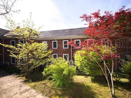 由布院温泉 湯布院 ホテル森のテラス / 5