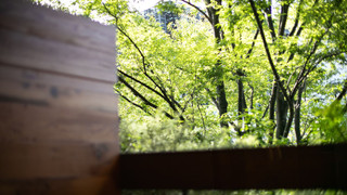 スタンダード ダブルルーム バルコニー (20 平米)	禁煙