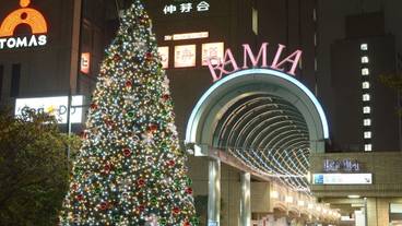 施設からの眺望 / 28