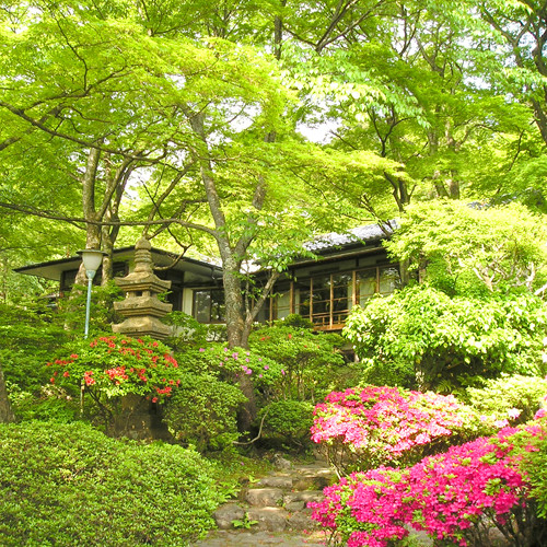 強羅温泉 自家源泉掛け流しの宿 強羅環翠楼(ゴウラオンセン ジカゲンセンカケナガシノヤド ゴウラカンスイロウ) / 1