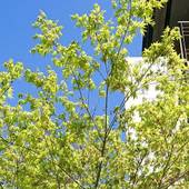 中川温泉 魚山亭 やまぶき（神奈川県 旅館） / 5