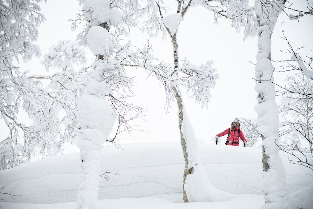 スノー スポーツとスキー