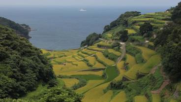 ハイキング / 14