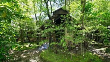 施設の敷地 / 38