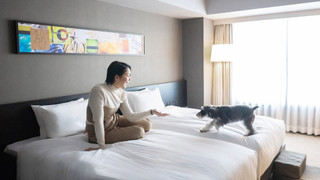 [Dog Friendly] スーペリア ツイン 禁煙