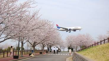 観光スポット / 4