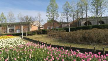 道の駅 神戸フルーツ・フラワーパーク大沢の風景 / 7
