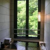 山の神温泉 別墅 清流館（岩手県 旅館） / 4