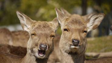 施設からの眺望 / 17