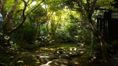 ゲストハウス 鯉屋